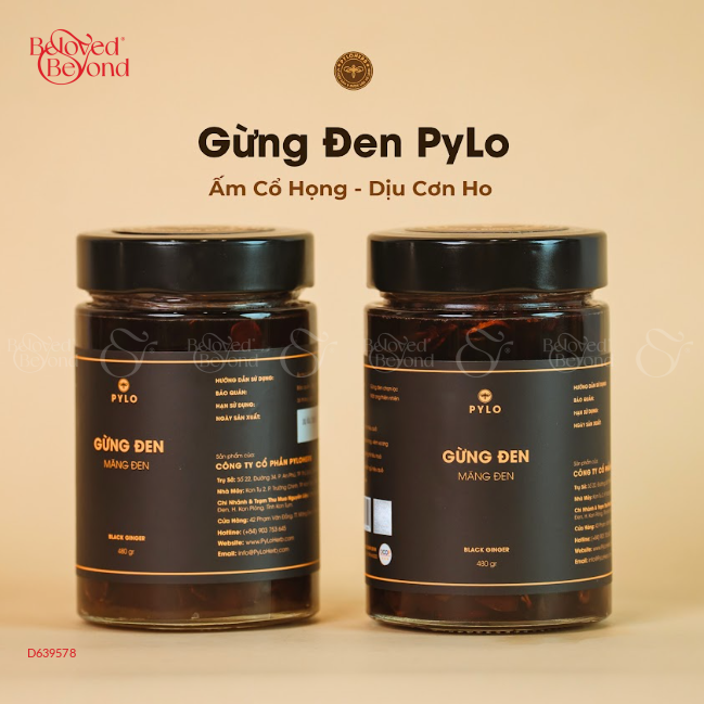Gừng Đen Pylo - Hủ 400Gr - belovedbeyond.com