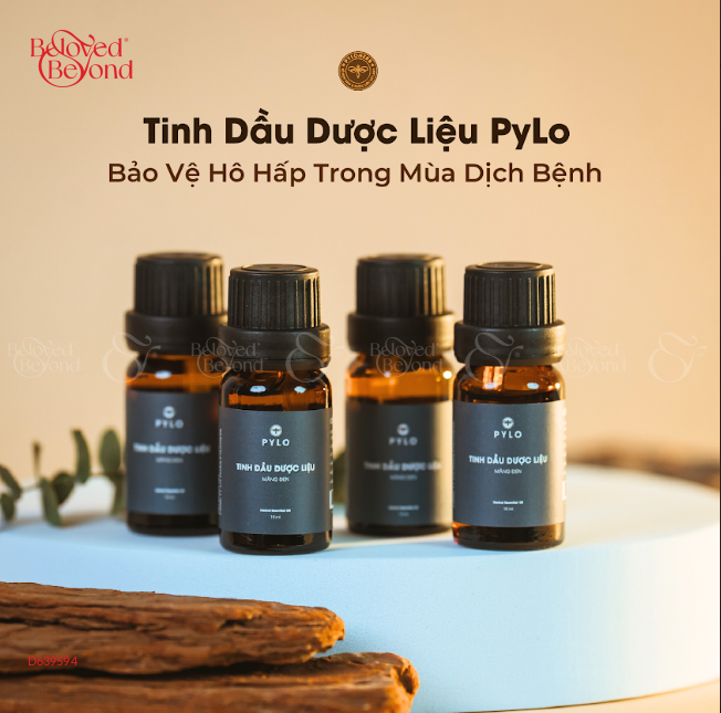Tinh Dầu Dược Liệu Pylo - Chai 10Ml - belovedbeyond.com
