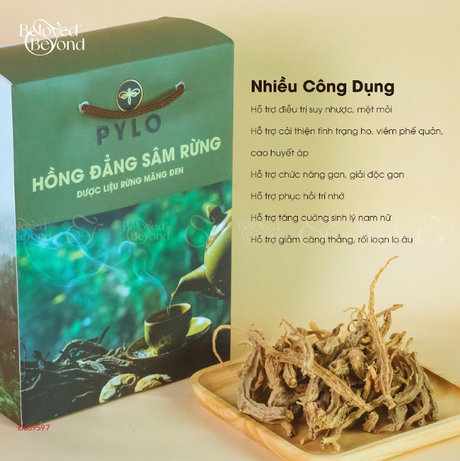 Hồng Đẳng Sâm Pylo - Hộp 500Gr - belovedbeyond.com