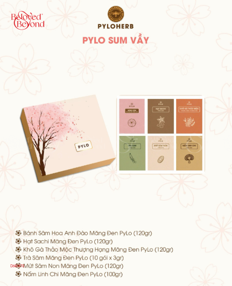 Quà Tết 2026 - Pylo Sum Vầy - belovedbeyond.com