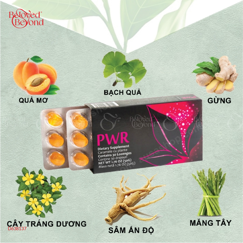 Kẹo Ngậm Tế Bào Gốc Pwr – Nội Tiết Nữ Aplgo - belovedbeyond.com