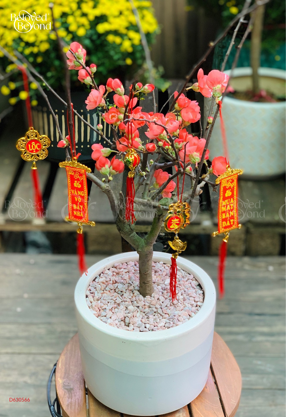 Tươi Mới - belovedbeyond.com