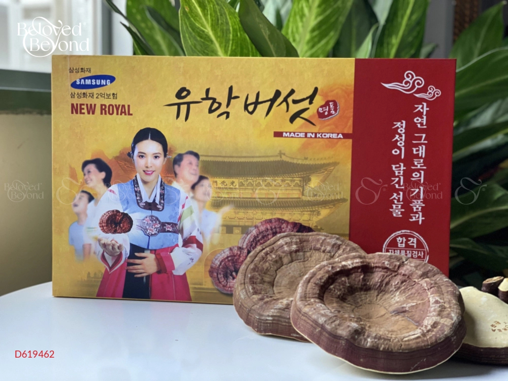 Nấm Linh Chi Cô Gái - belovedbeyond.com