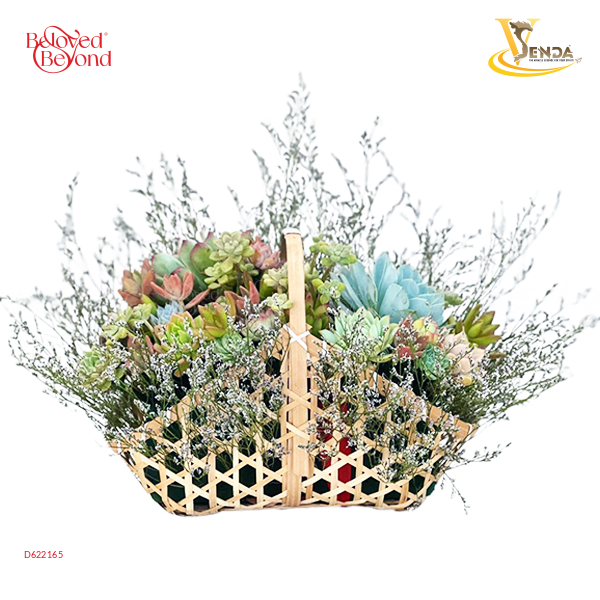 Chân Thành - Giỏ Hoa Sen Đá - belovedbeyond.com