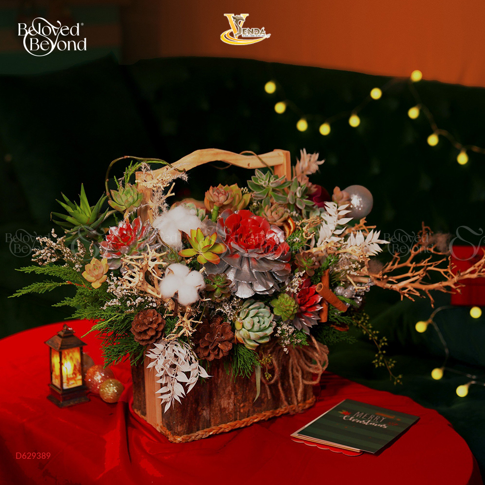 [Hoa Tươi, Chọn Lọc Kỹ] Gió Đông_Lẵng Sen Đá Cắm - belovedbeyond.com