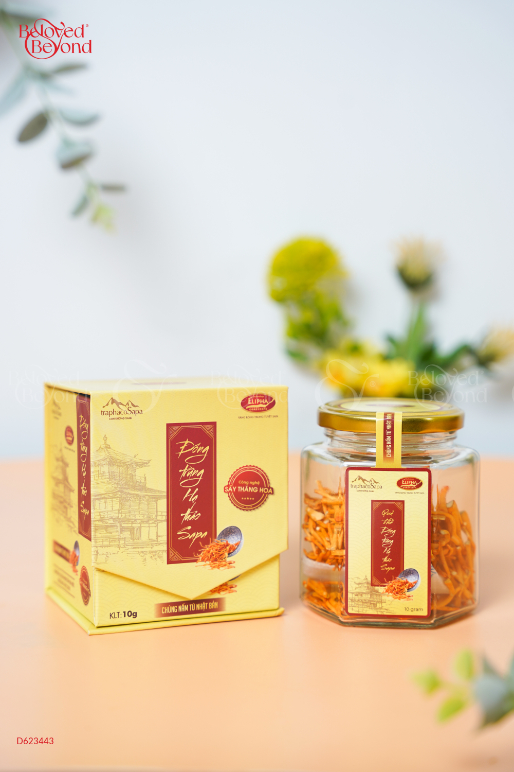 Đông Trùng Hạ Thảo Sapa – Sấy Thăng Hoa 10G - belovedbeyond.com