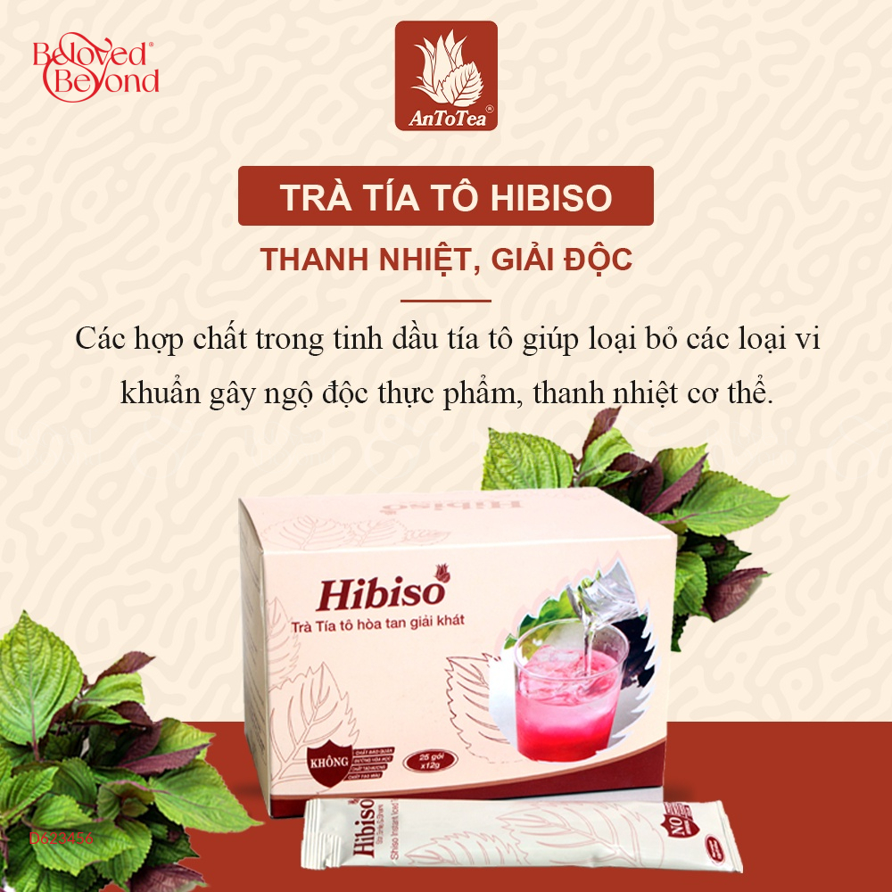 Trà Tía Tô Hibiso - belovedbeyond.com