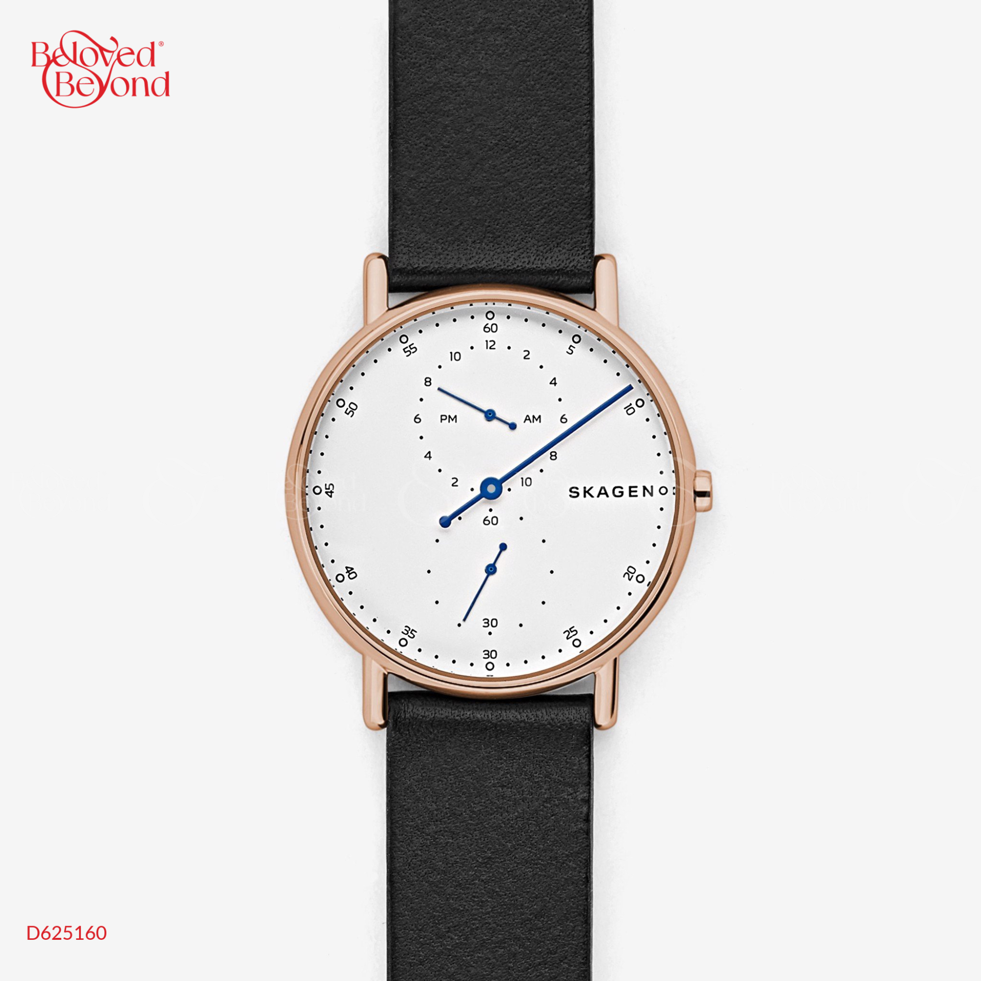 Skagen Signatur Skw6390 - belovedbeyond.com