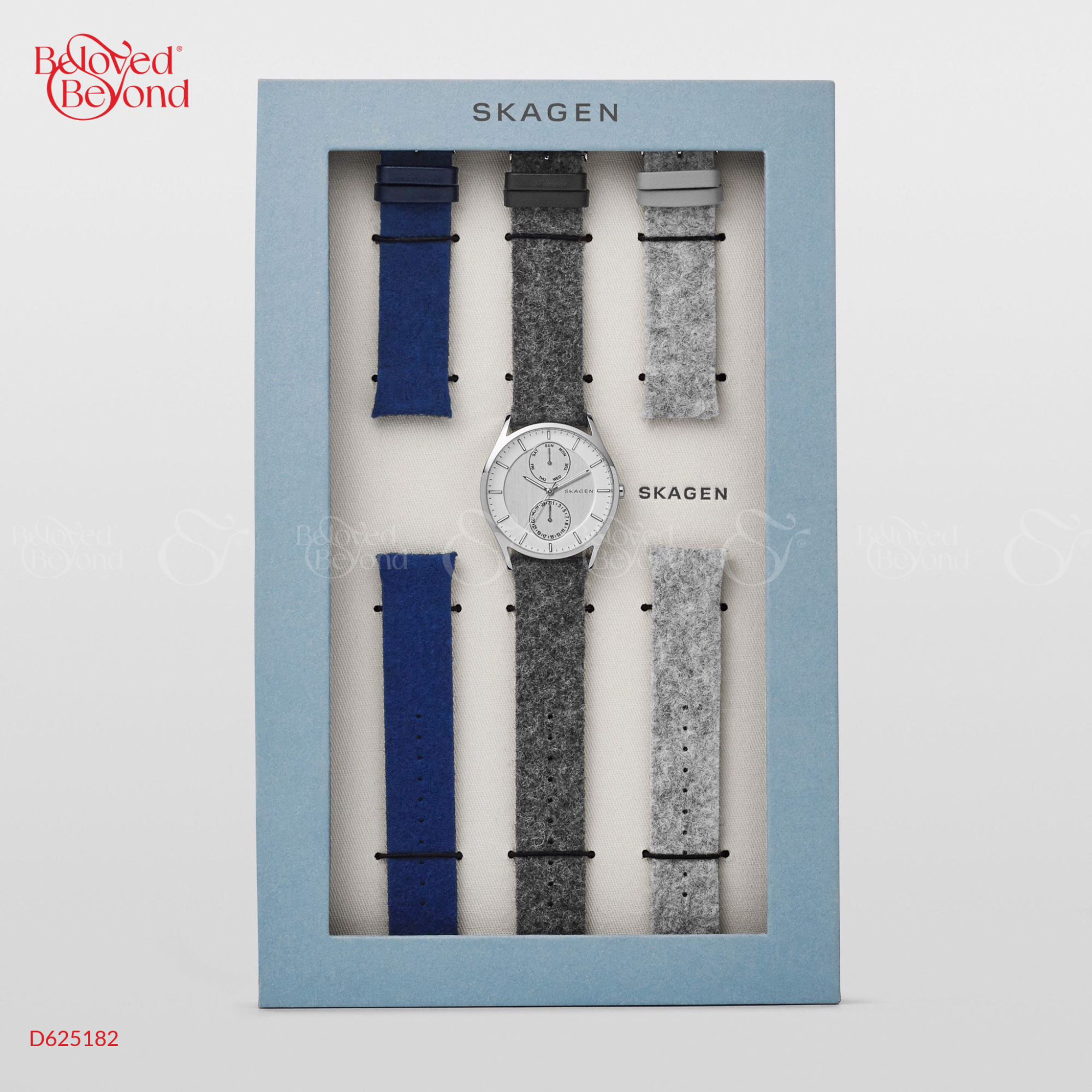 Skagen Gift Set Skw1060 - belovedbeyond.com