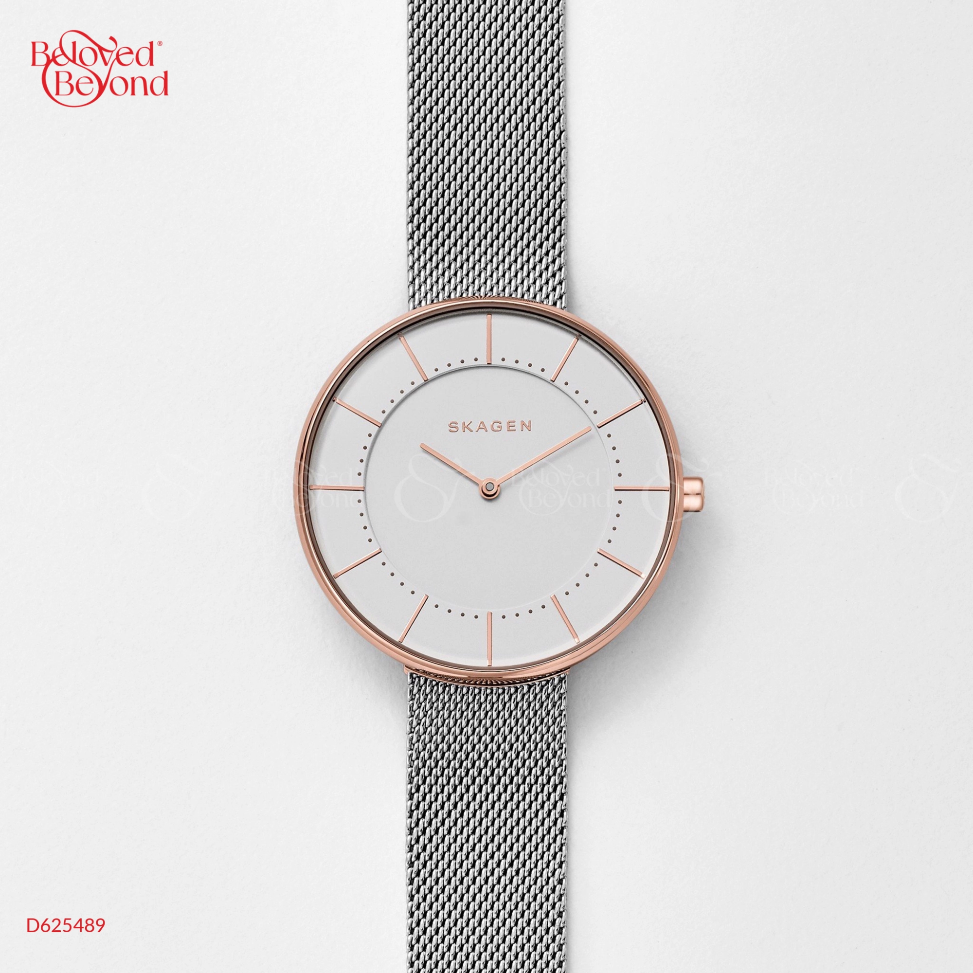 Skagen skw2644 2025