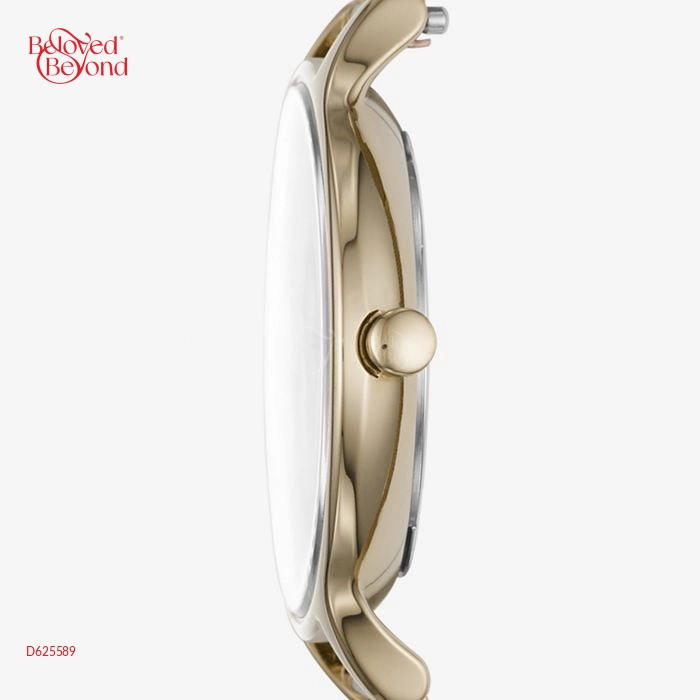 Skagen Anita Skw2650 D625589 Gift For Women Bluefish Shop