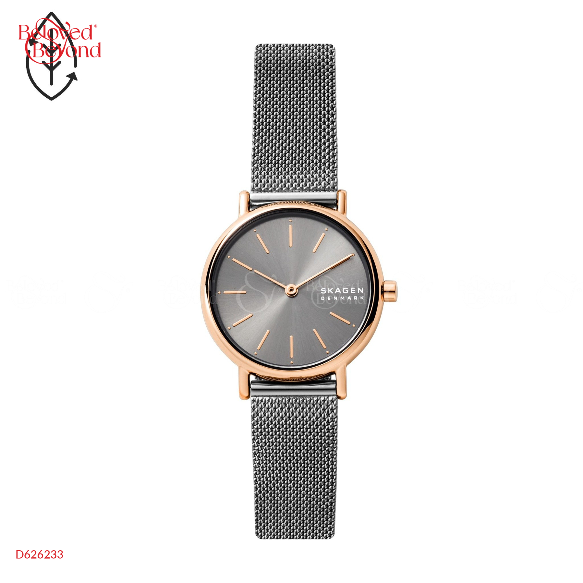 Skagen Signatur Skw2996 - belovedbeyond.com