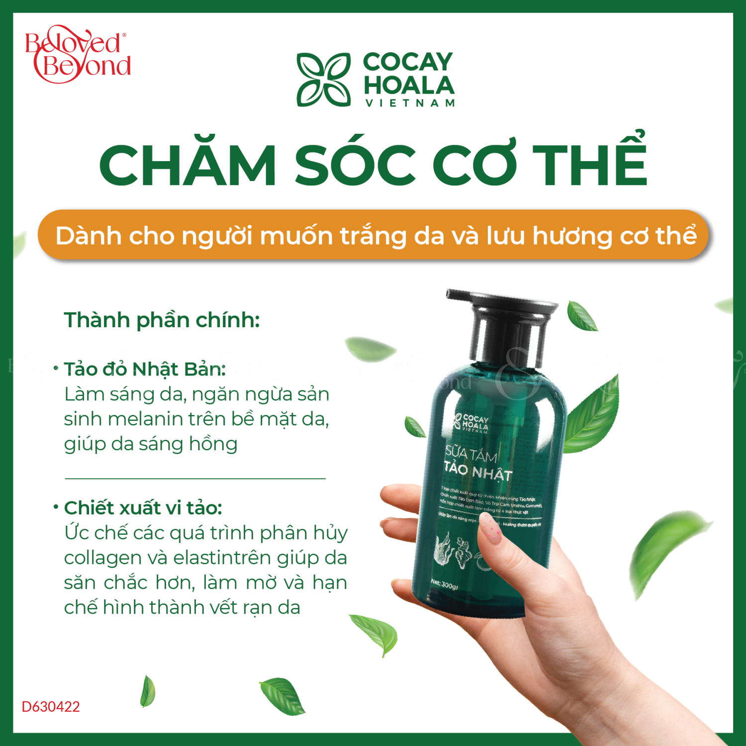 Sữa Tắm Tảo Nhật - belovedbeyond.com