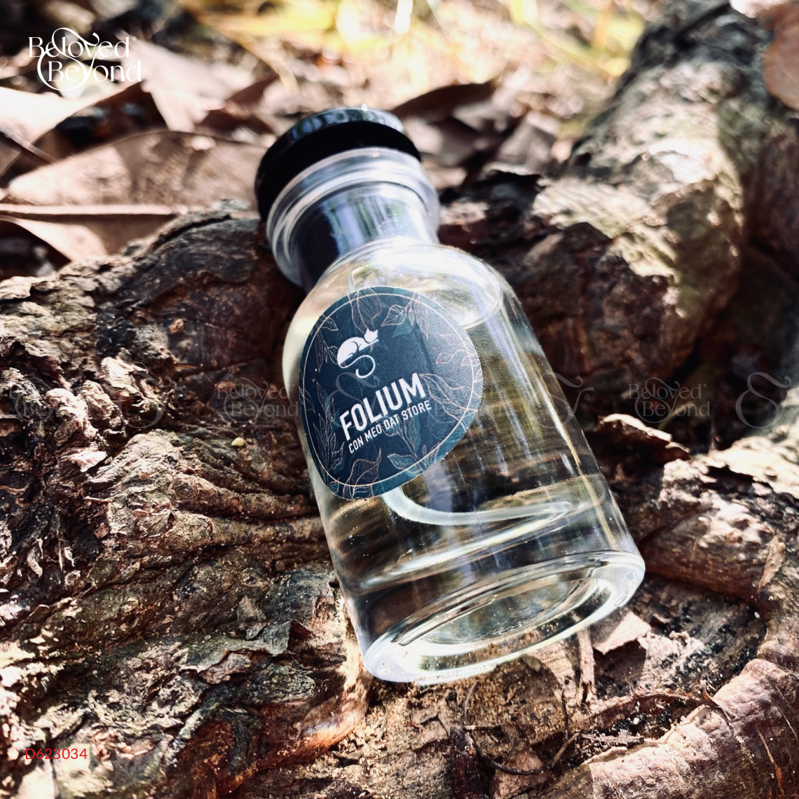 Nước Hoa Folium – Quercus - belovedbeyond.com