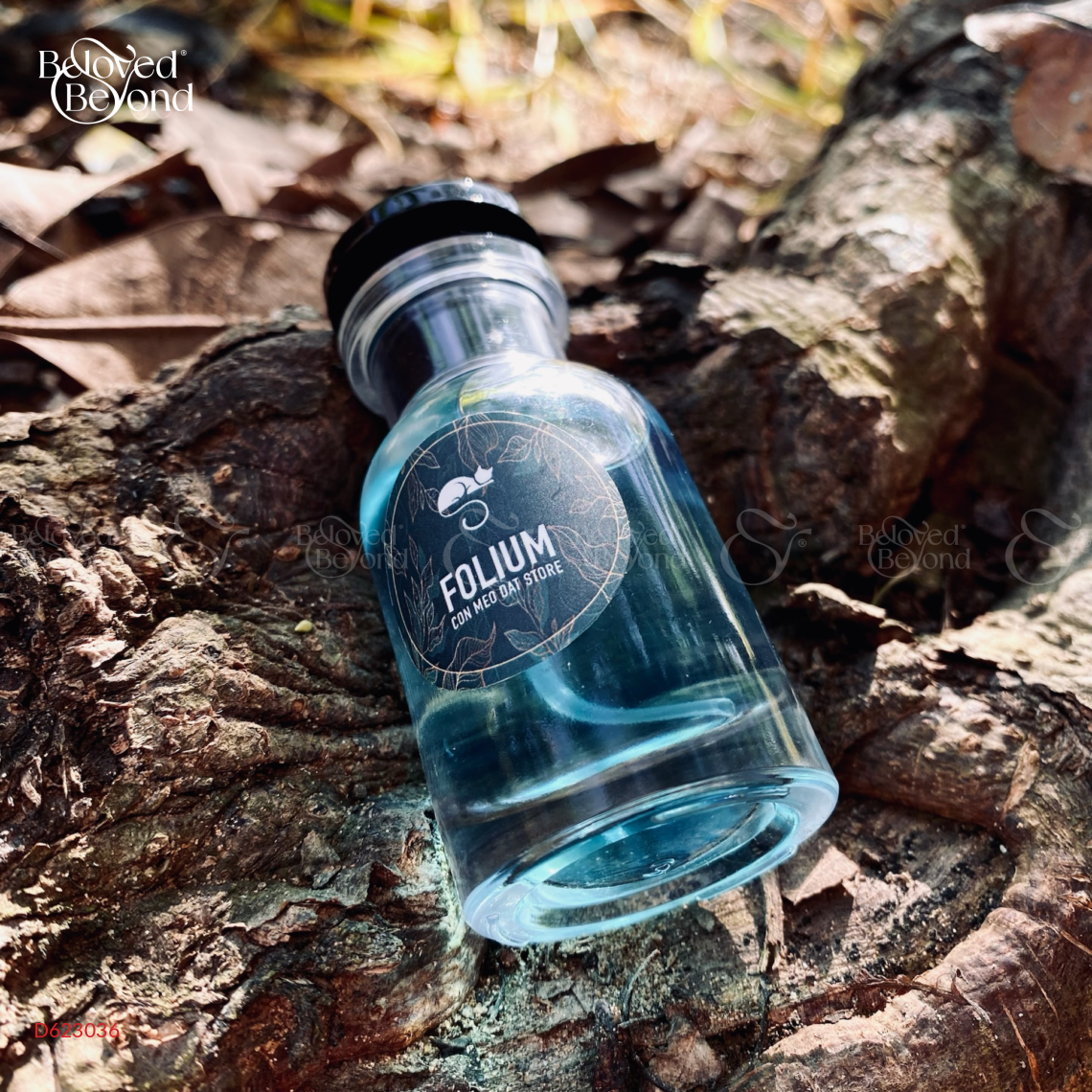 Nước Hoa Folium – Conifer - belovedbeyond.com