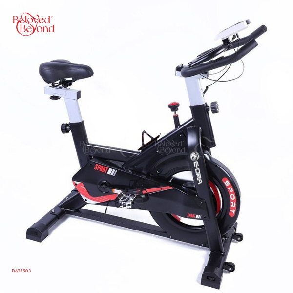 Xe Đạp Thể Thao Trong Nhà - Edra - Eeb100 - belovedbeyond.com
