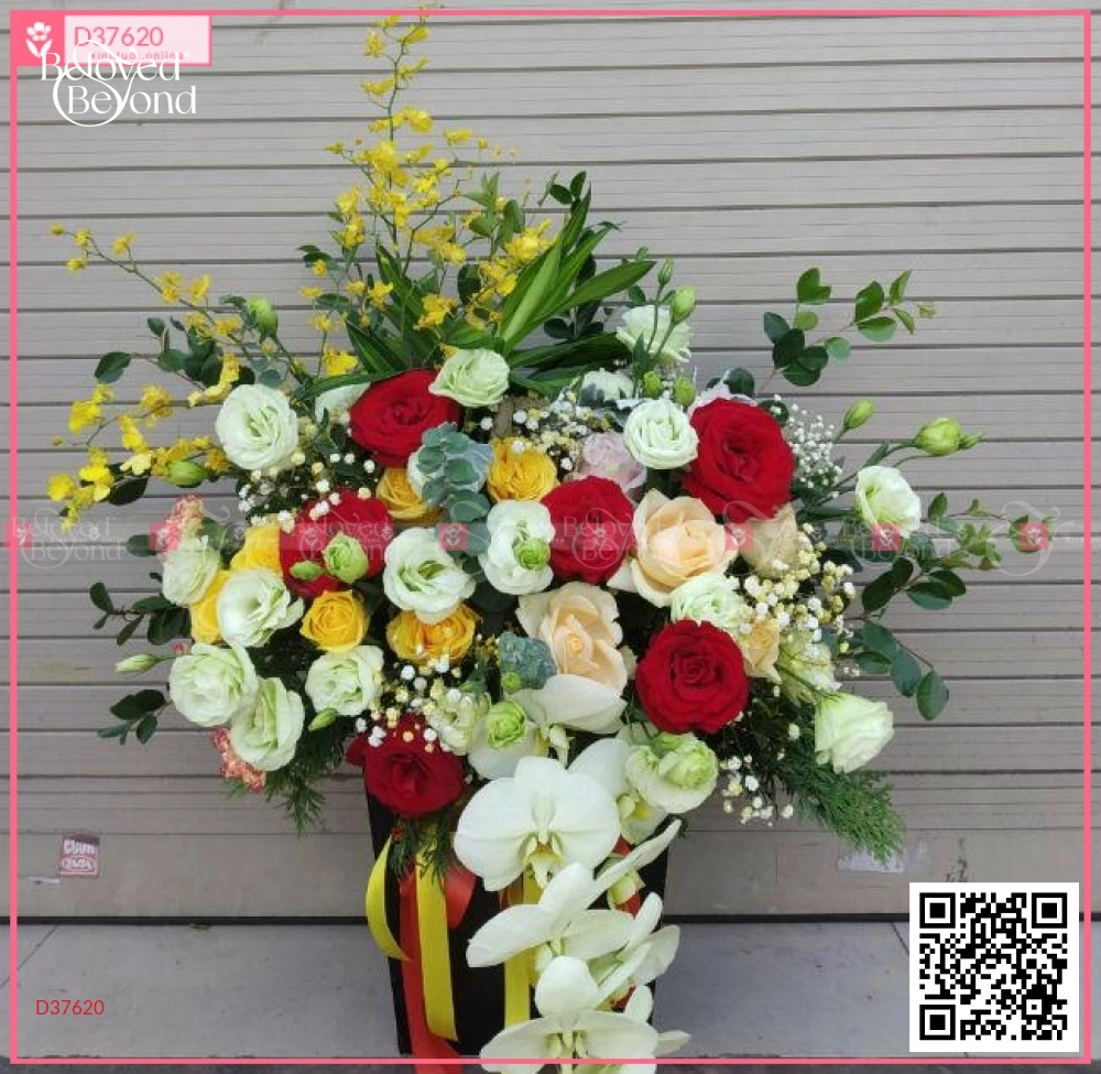 Xinh Xắn - belovedbeyond.com