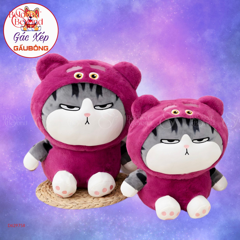Mèo Bông Hoàng Thượng - belovedbeyond.com