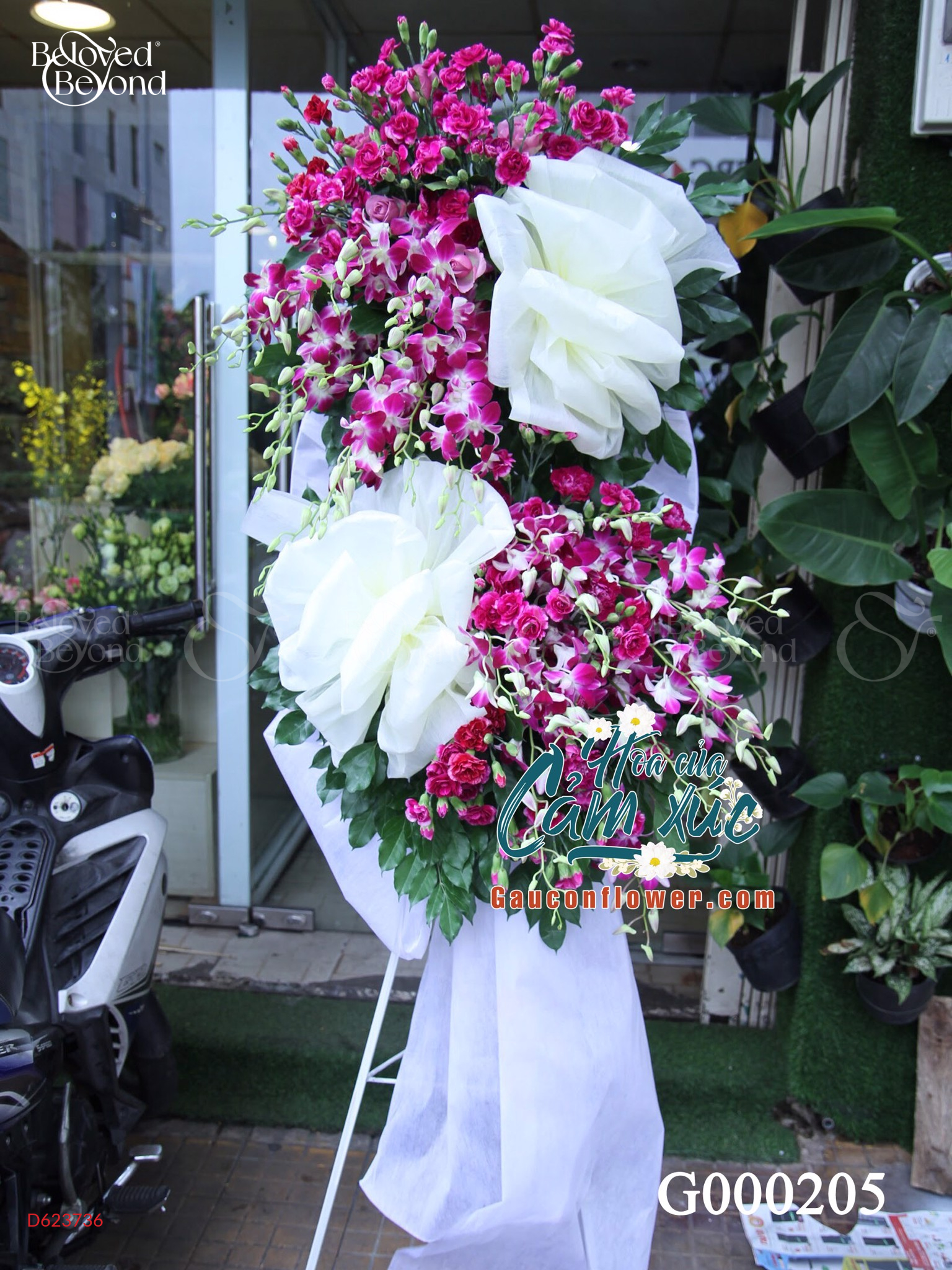 G000205 - belovedbeyond.com