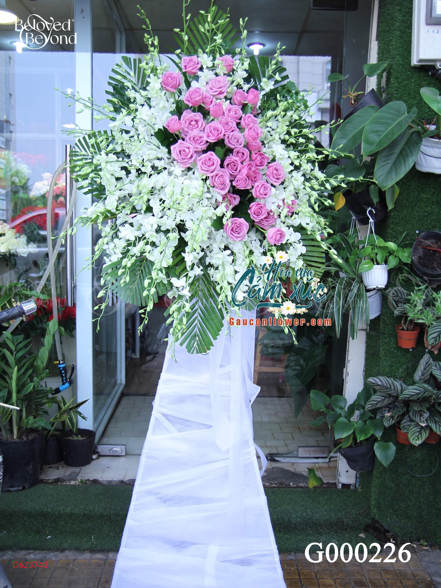 G000226 - belovedbeyond.com