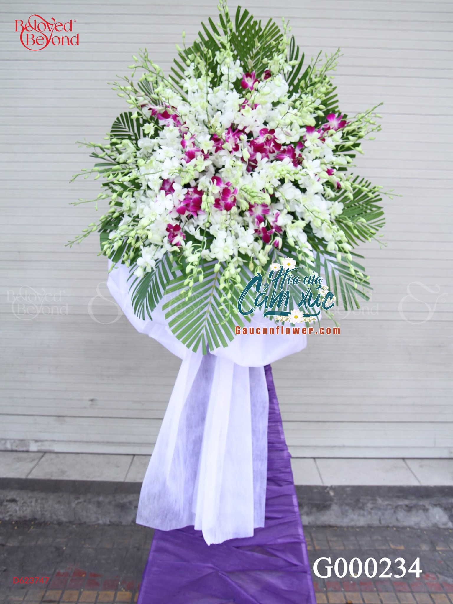 G000234 - belovedbeyond.com