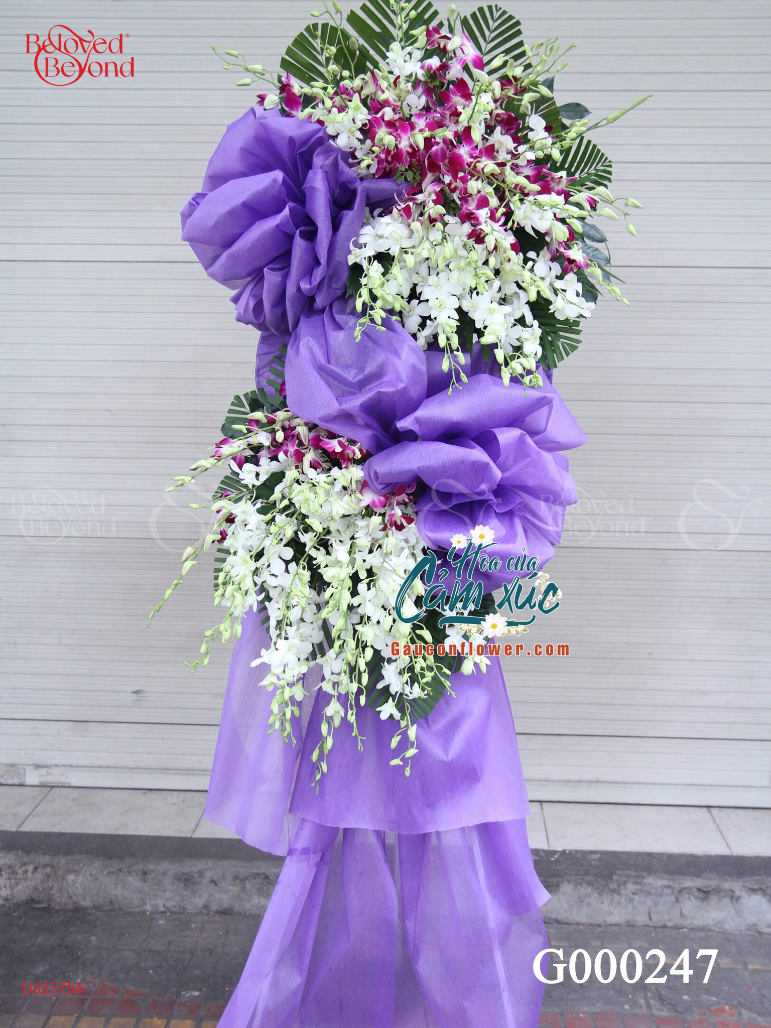 G000247 - belovedbeyond.com