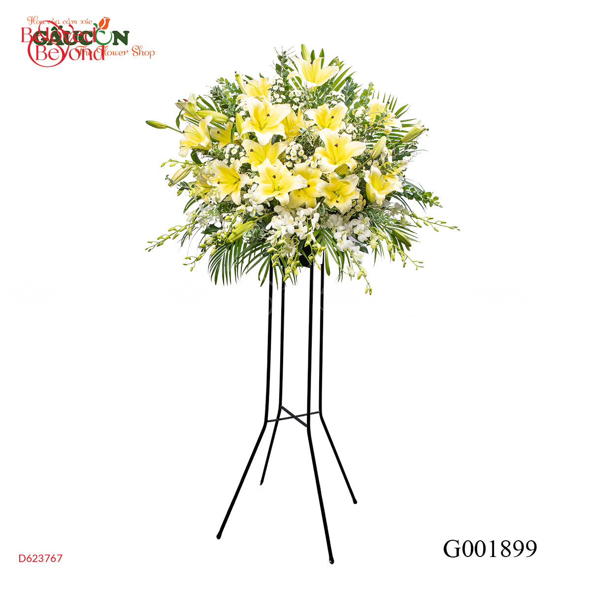 G001899 - belovedbeyond.com