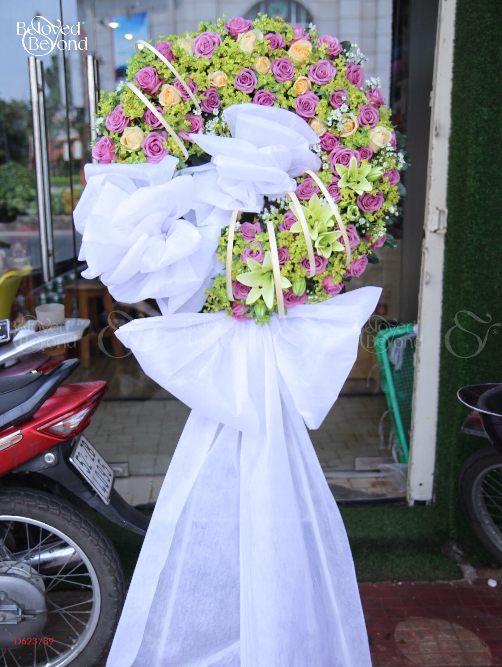 G000225 - belovedbeyond.com
