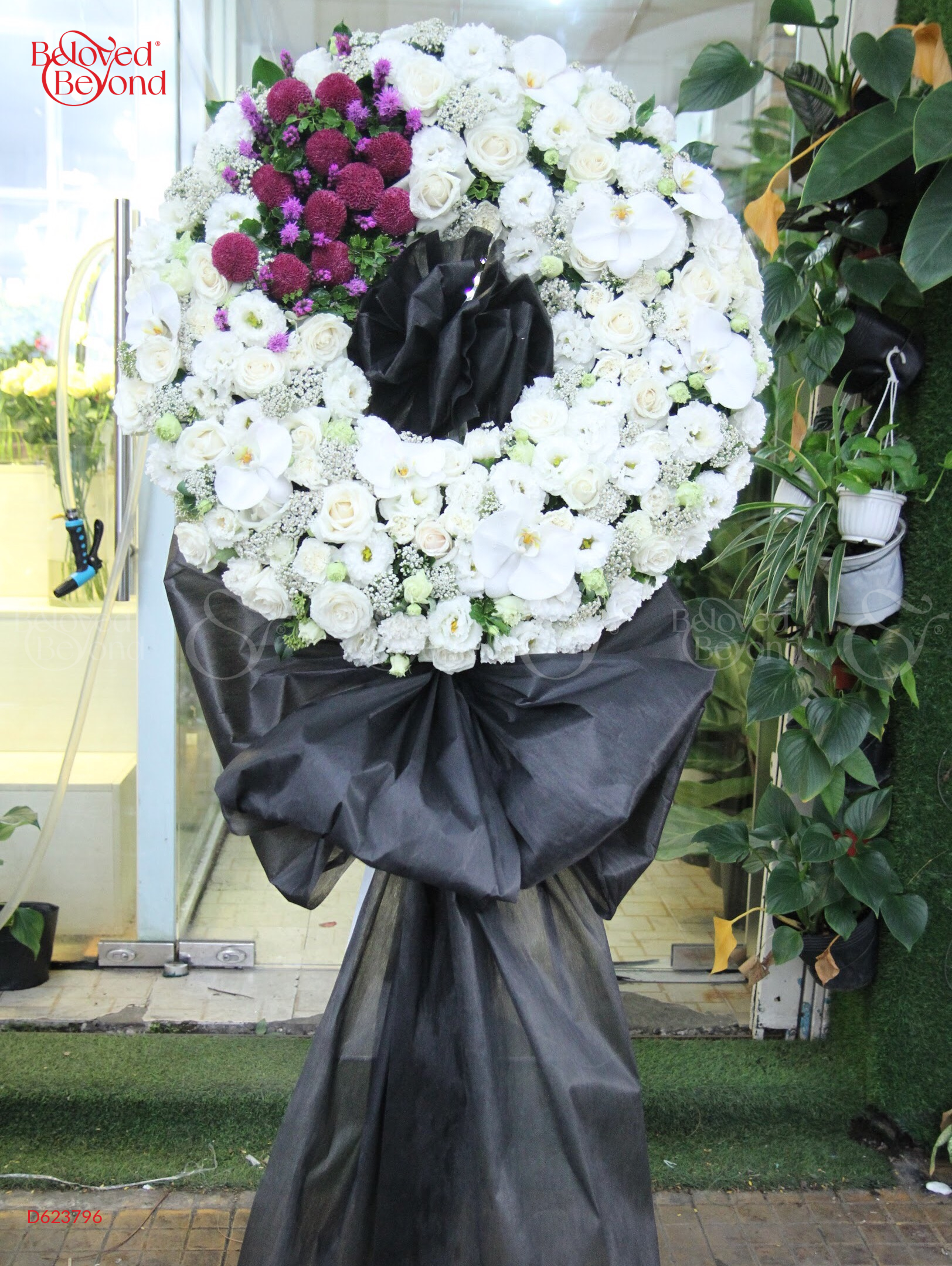 G000244 - belovedbeyond.com
