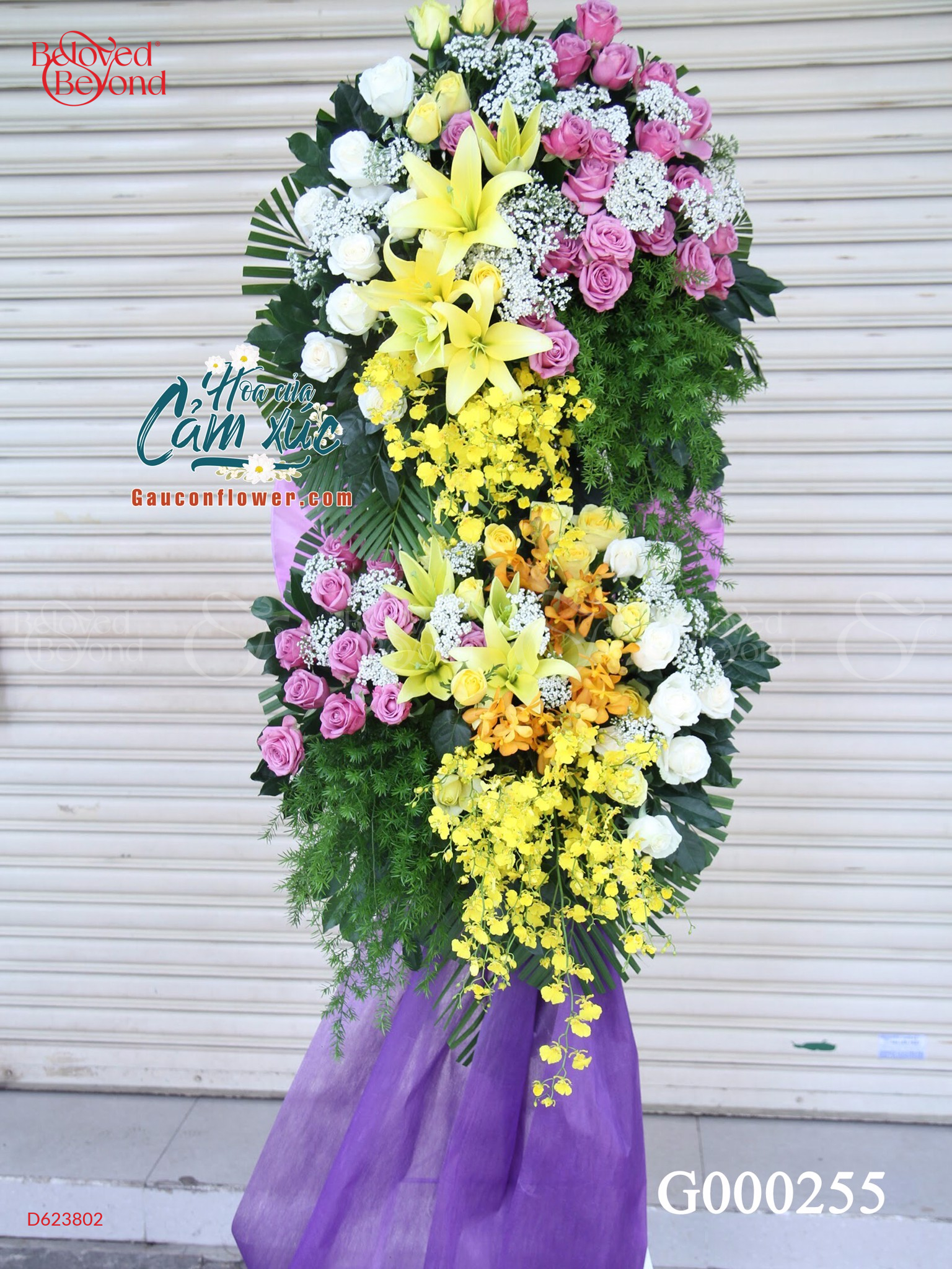 G000255 - belovedbeyond.com
