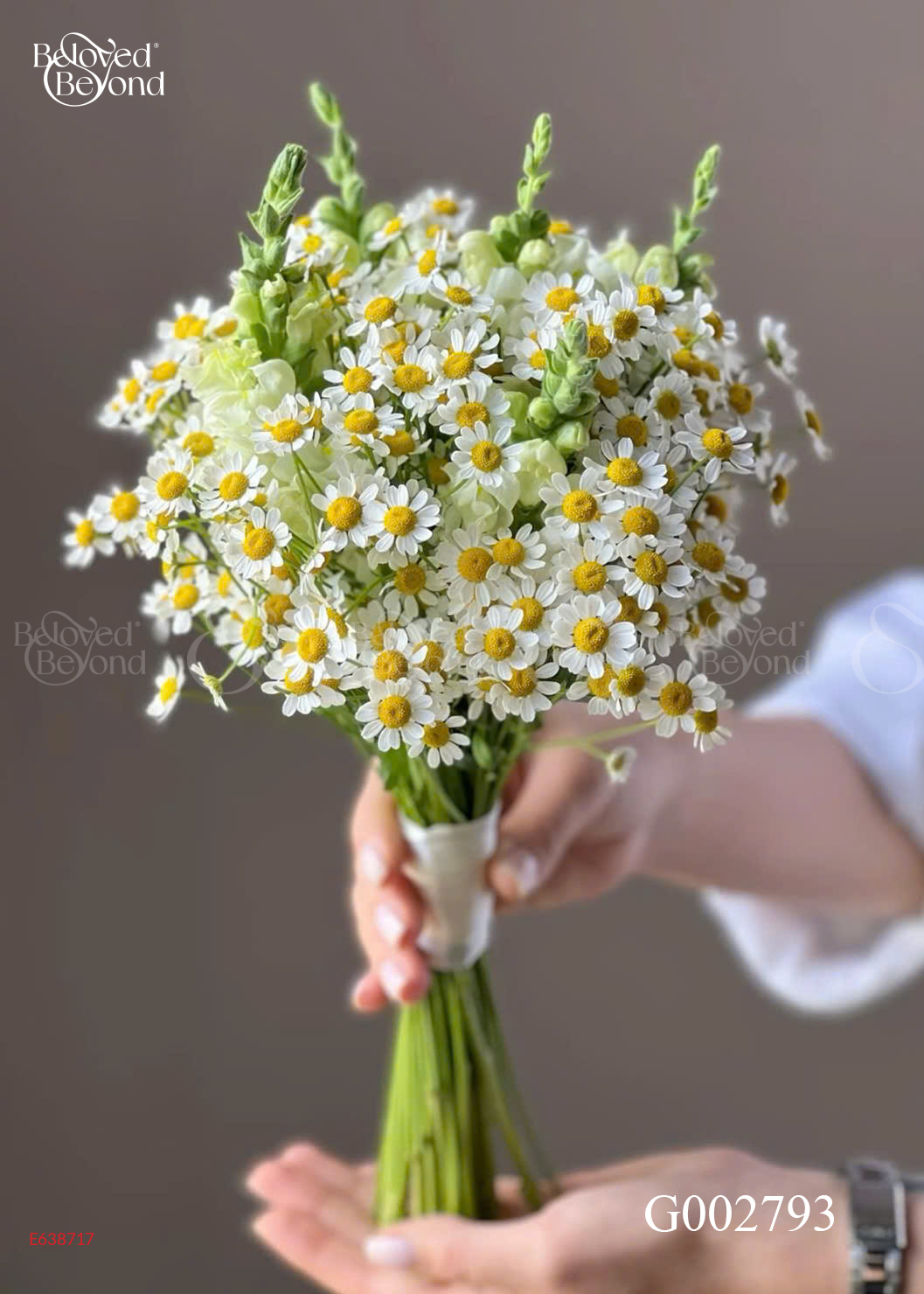 G002793 - belovedbeyond.com