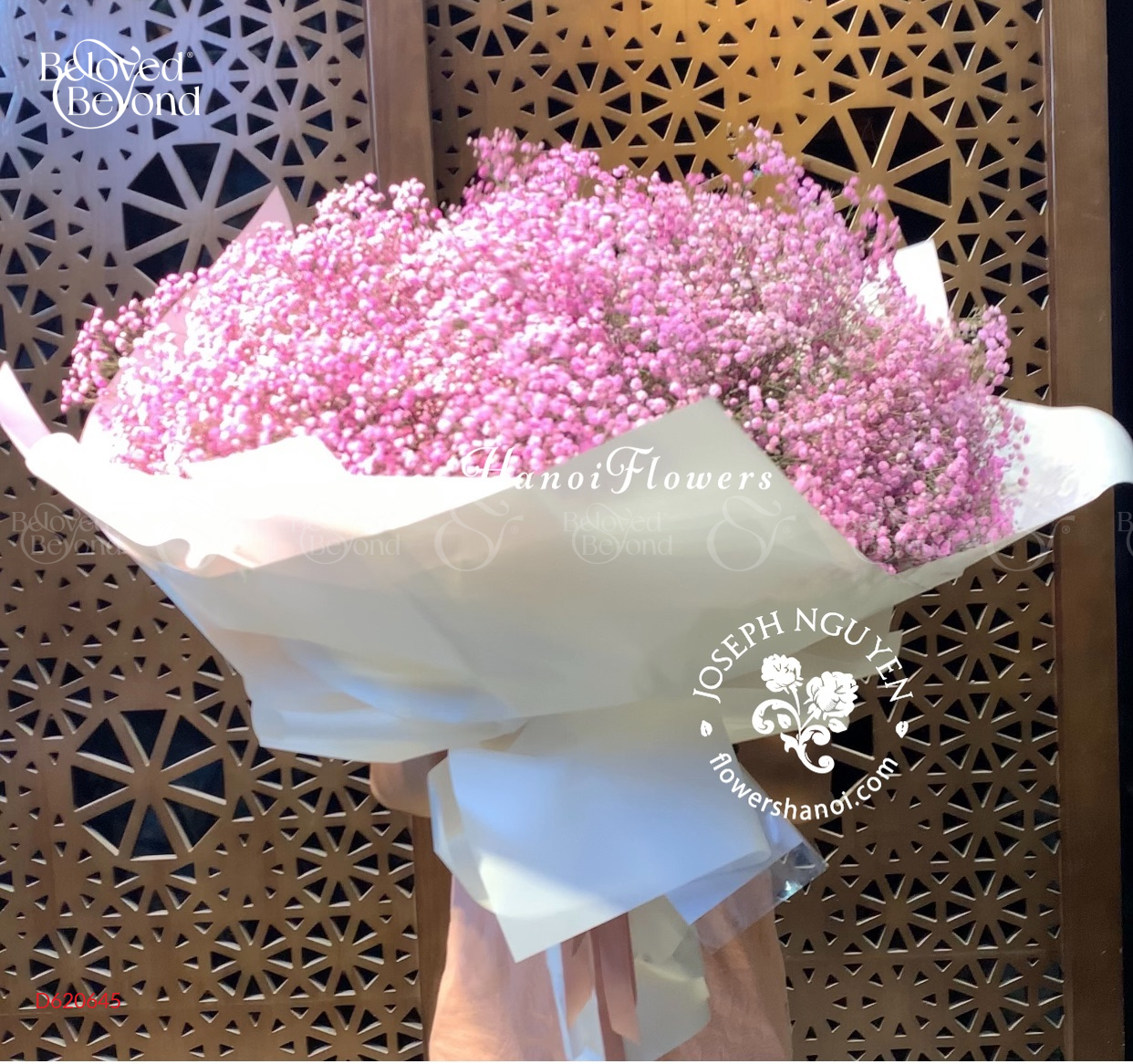 Mây Hồng - belovedbeyond.com