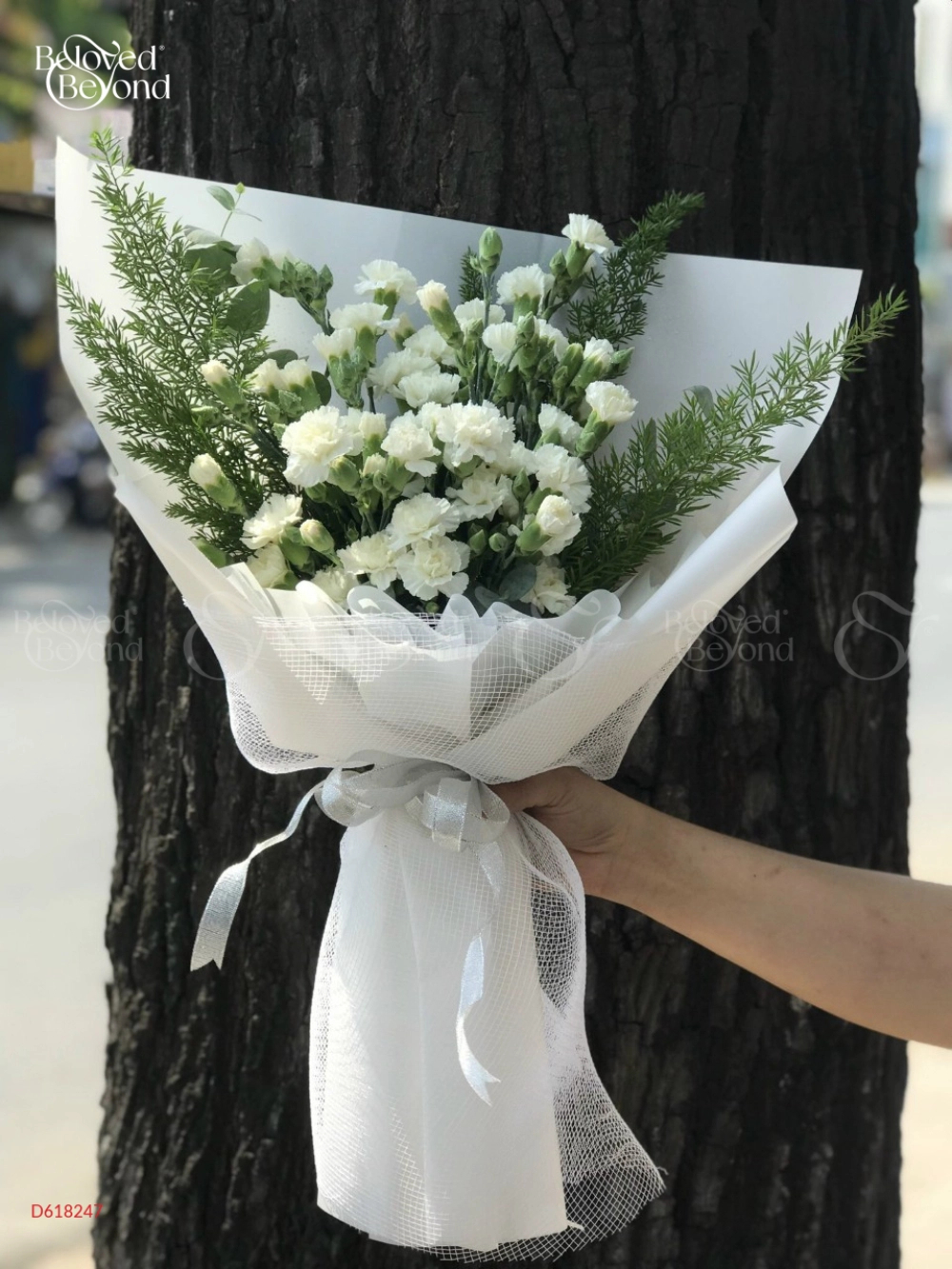 Bó Hoa Cẩm Chướng Trắng - belovedbeyond.com