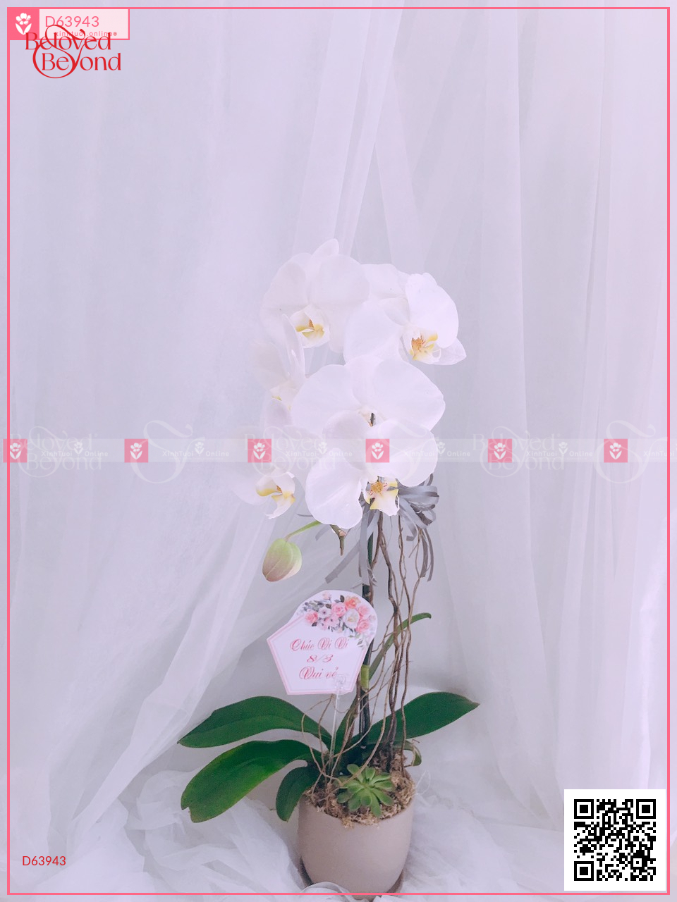 Sum Vầy - belovedbeyond.com