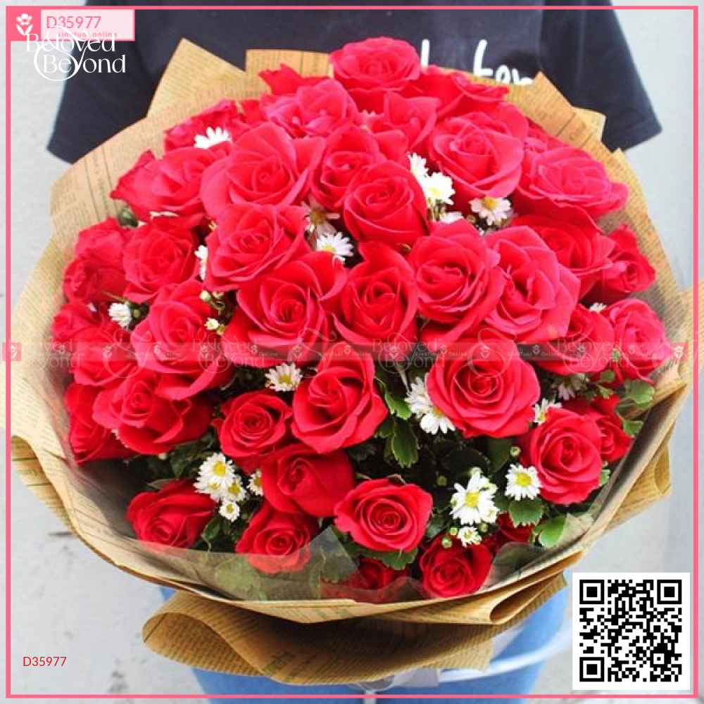 Bền Lâu - belovedbeyond.com