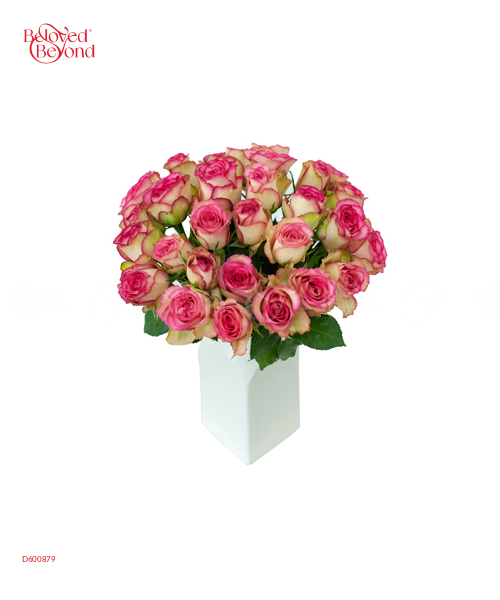 Hồng Samilia (25 Bông) - belovedbeyond.com