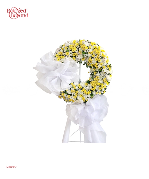 Dòng Kí Ức - belovedbeyond.com