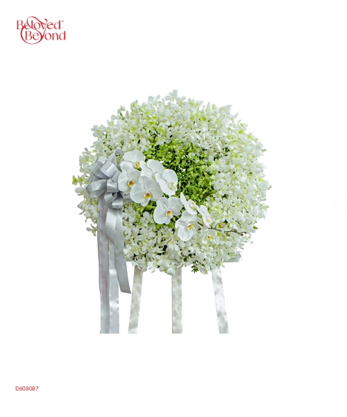 Khoảng Lặng - belovedbeyond.com