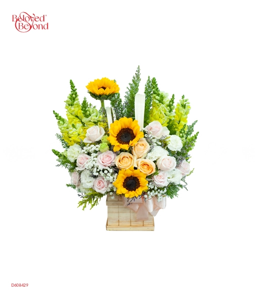 Hy Vọng - belovedbeyond.com
