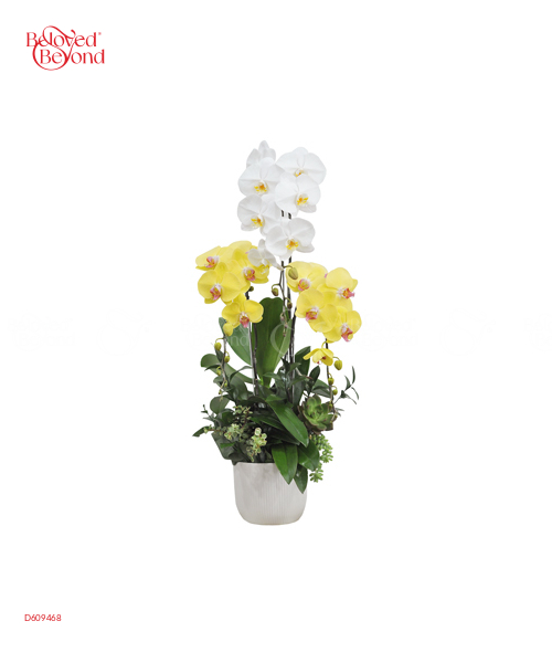Hoa Tặng Sự Kiện 4(+20 Bó) - belovedbeyond.com