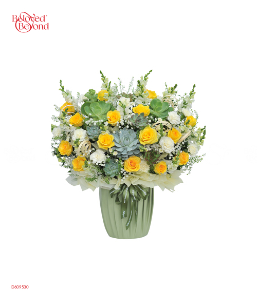 Chiều Thương - belovedbeyond.com