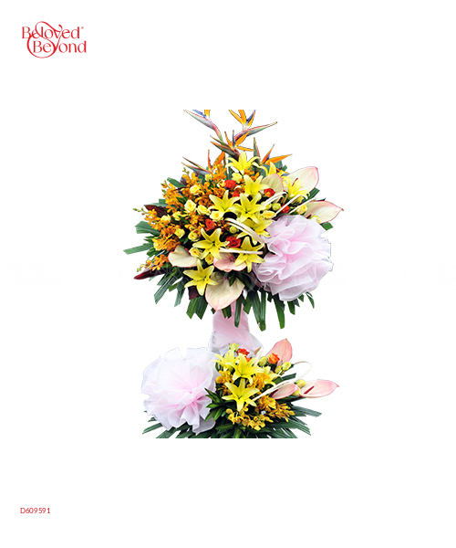 Phát Đạt - belovedbeyond.com