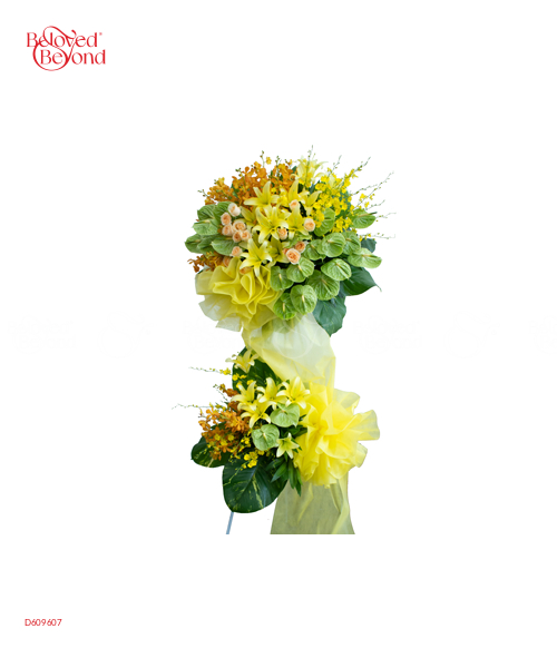 Đại Cát - belovedbeyond.com