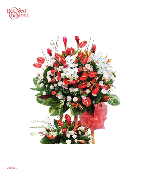 Sự Nghiệp Tấn Tới - belovedbeyond.com