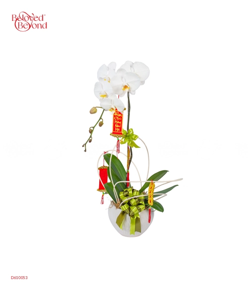 Bình Yên - belovedbeyond.com