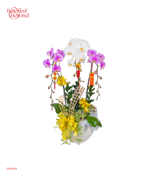 Hồng Điệp - belovedbeyond.com