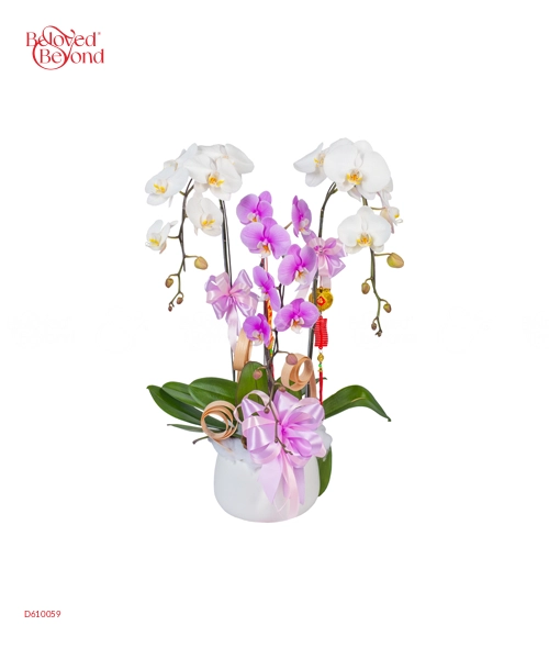 Vạn Hạnh - belovedbeyond.com