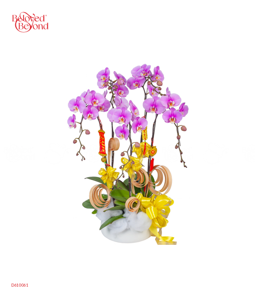 Khoe Sắc - belovedbeyond.com