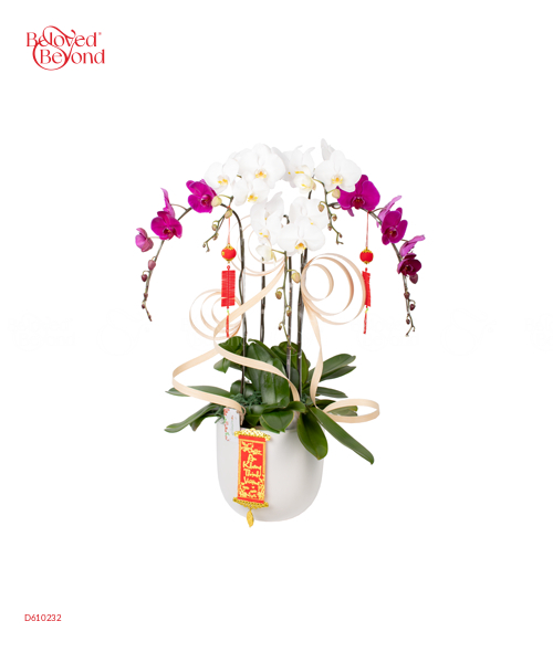 May Mắn Tràn Đầy - belovedbeyond.com