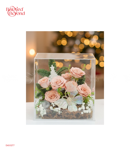 Noel Yêu Thương - belovedbeyond.com